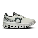 Tenis on cloud Cloudmonster 2 white frost